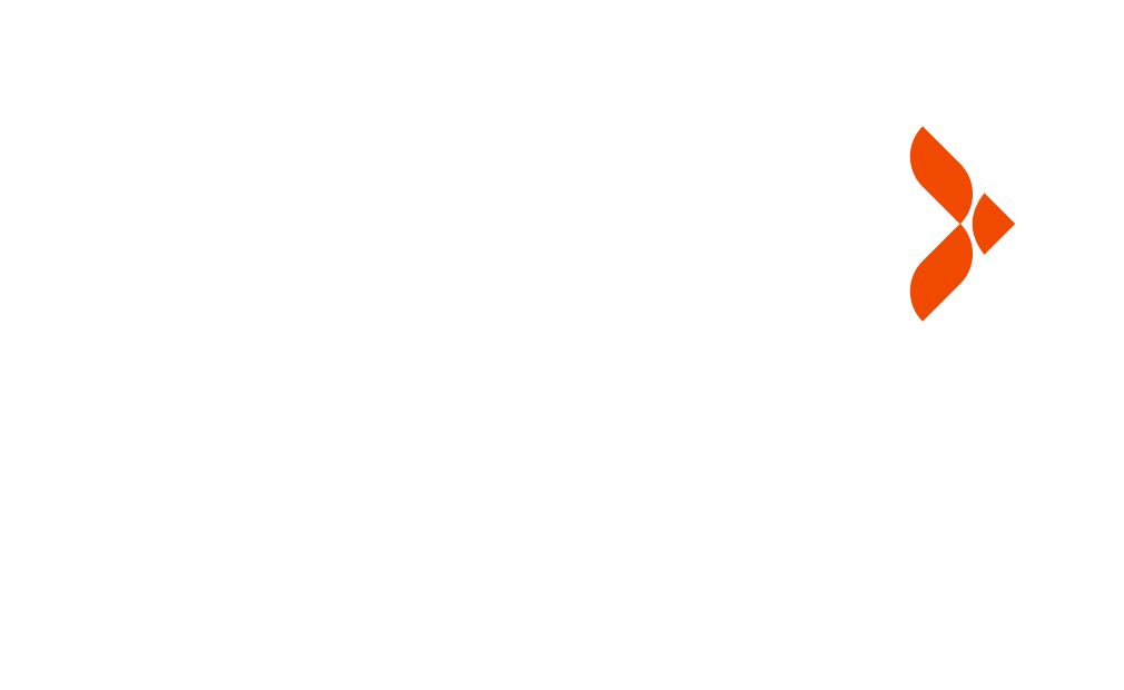 Digital Staffing Experts